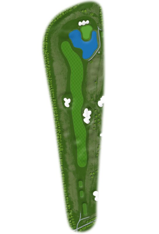 Golf Course Mapping Project 100