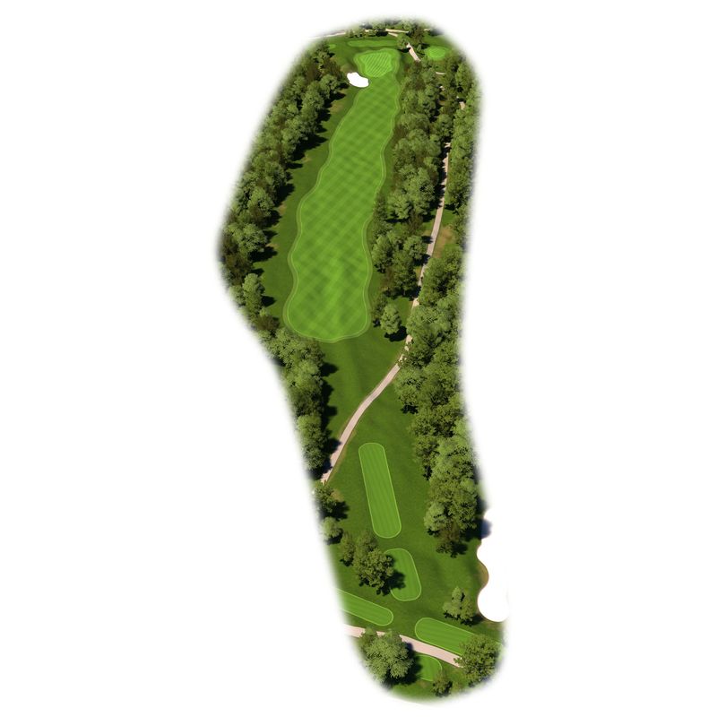Golf Course Mapping Project 86