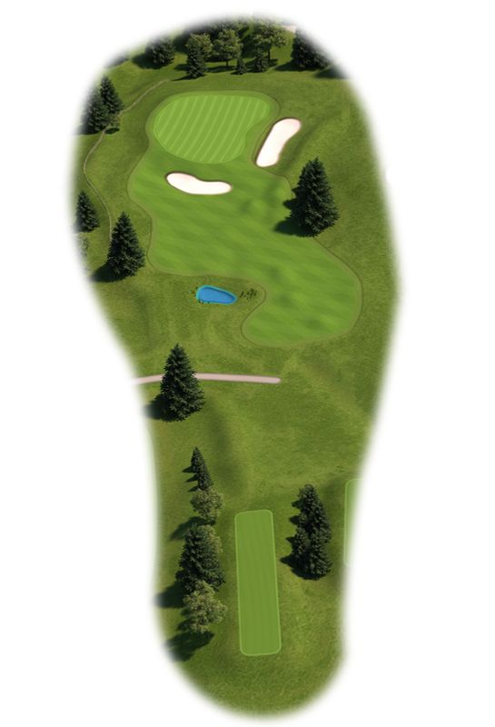 Golf Course Mapping Project 82